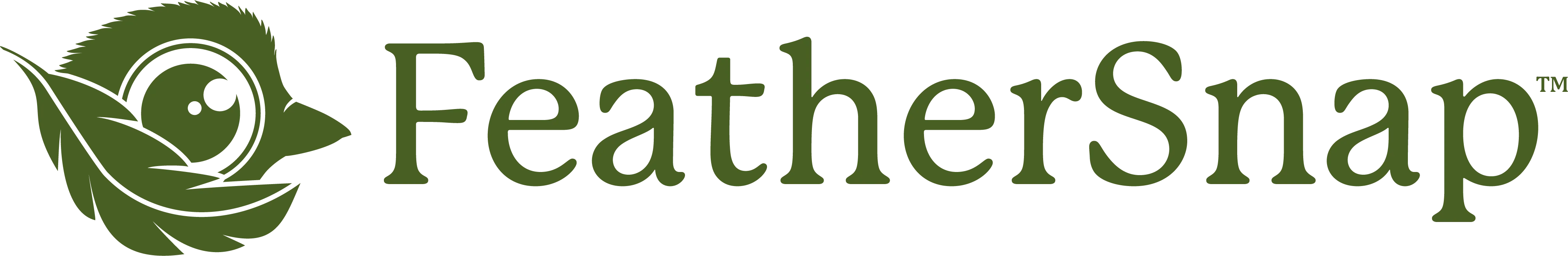 FeatherSnap 12-10-25