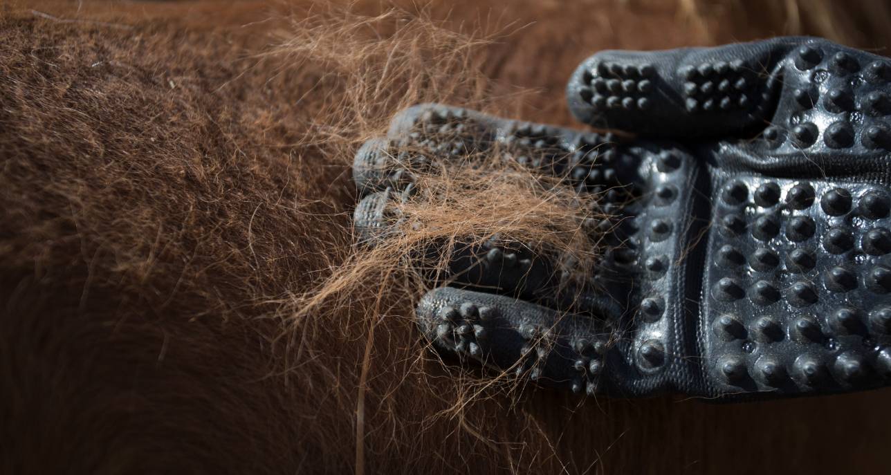 HandsOn Gloves 03-28-26 - Image 2