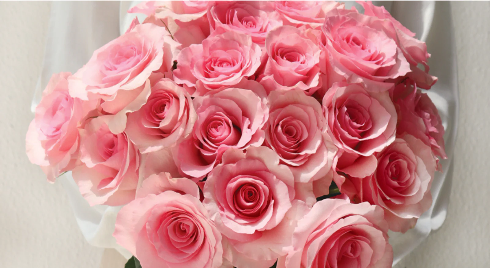 Rose Farmers - Image 2