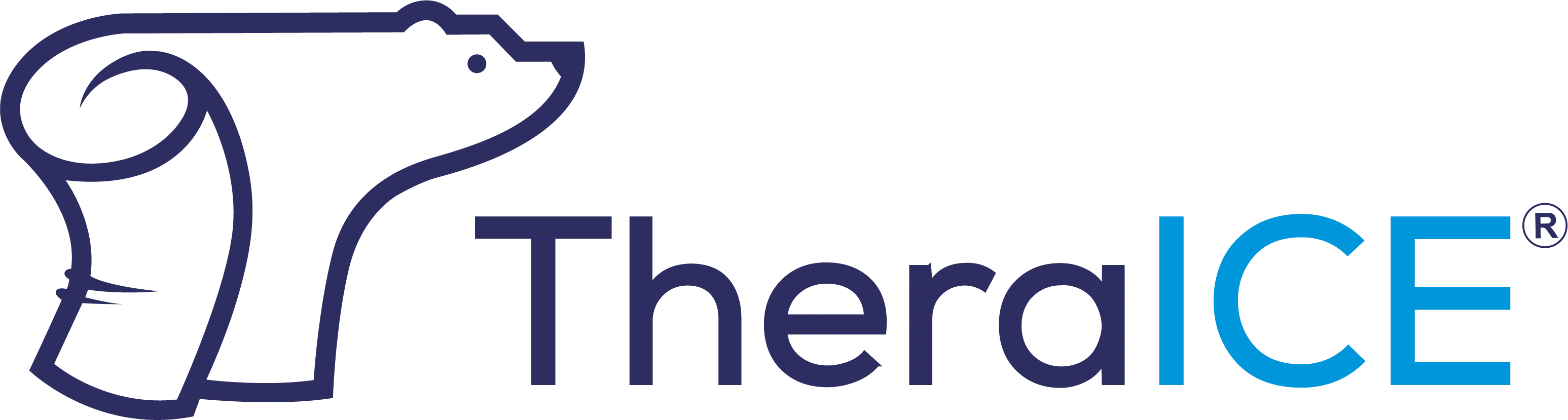 TheraICE 03-14-24 LSS